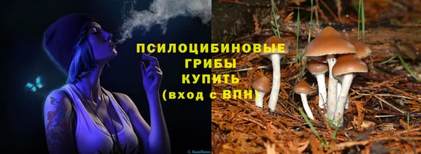 амф Алексин